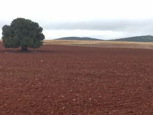 SEGUNDA VEZ Y VOLVEREMOS!!!