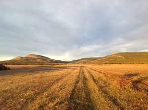 Las peñas de cervera