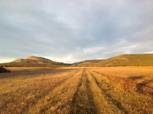 Las peñas de cervera